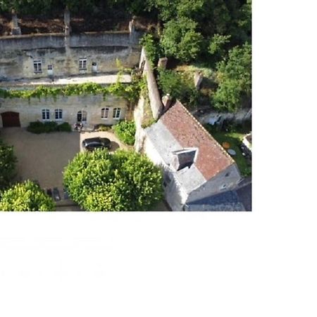Maison Troglodyte Elegante Avec Spa, Salle De Jeux Et Jardin Clos A Vouvray - Fr-1-381-87 Eksteriør billede